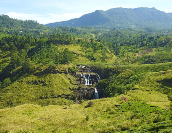 The Wonder of Diversification in Sri Lanka’s Little England 